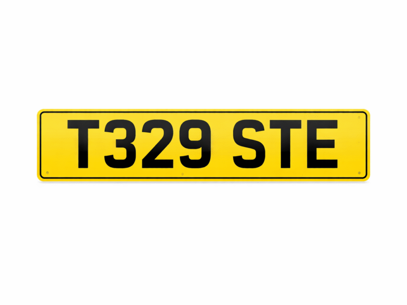 Private Registration Plate 'STE'